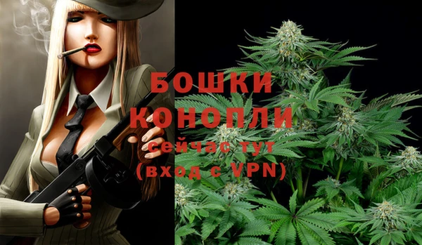 дживик Аркадак
