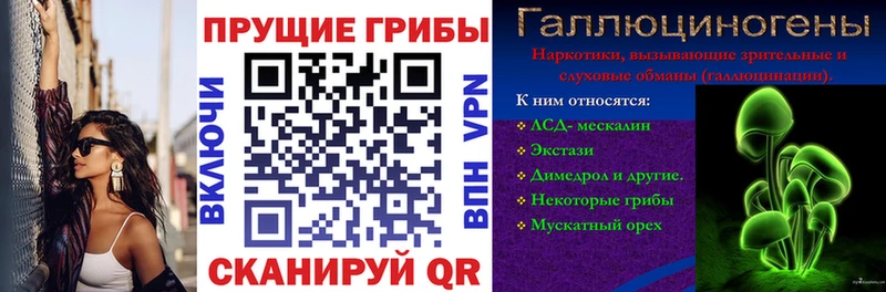 купить сайты Байкальск Псилоцибиновые грибы GOLDEN TEACHER